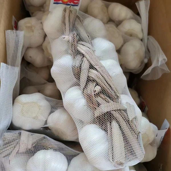 product-600-600 product-600-600