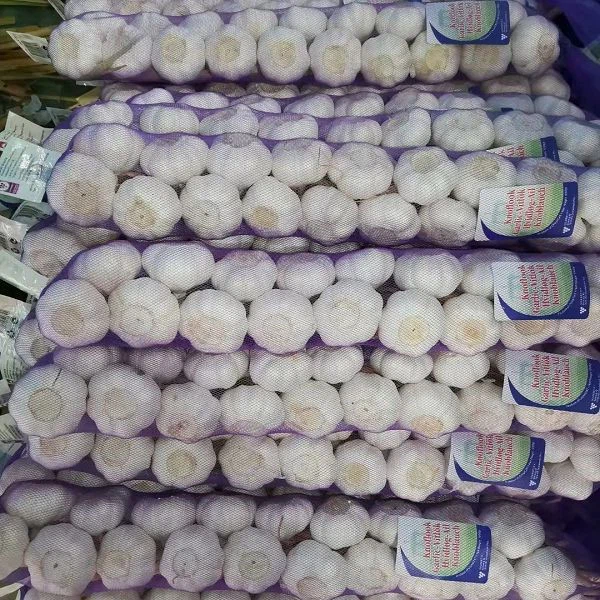 product-600-600 product-600-600