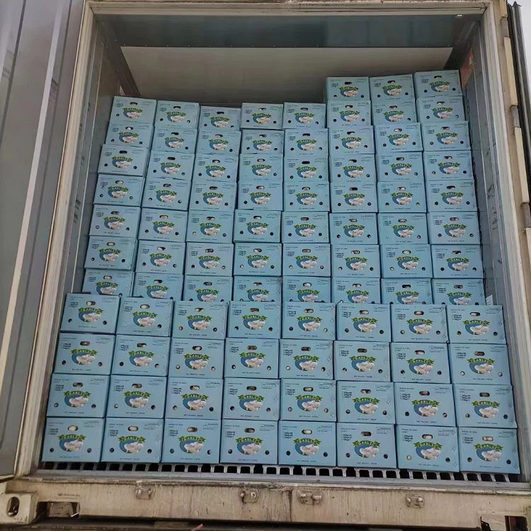 product-750-750 product-750-750