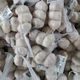 Chinese Fresh Garlic
