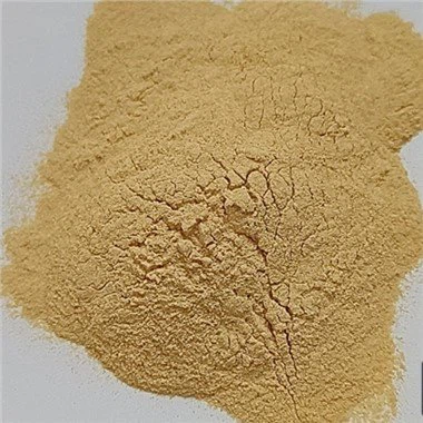 Toasted Garlic Powder
