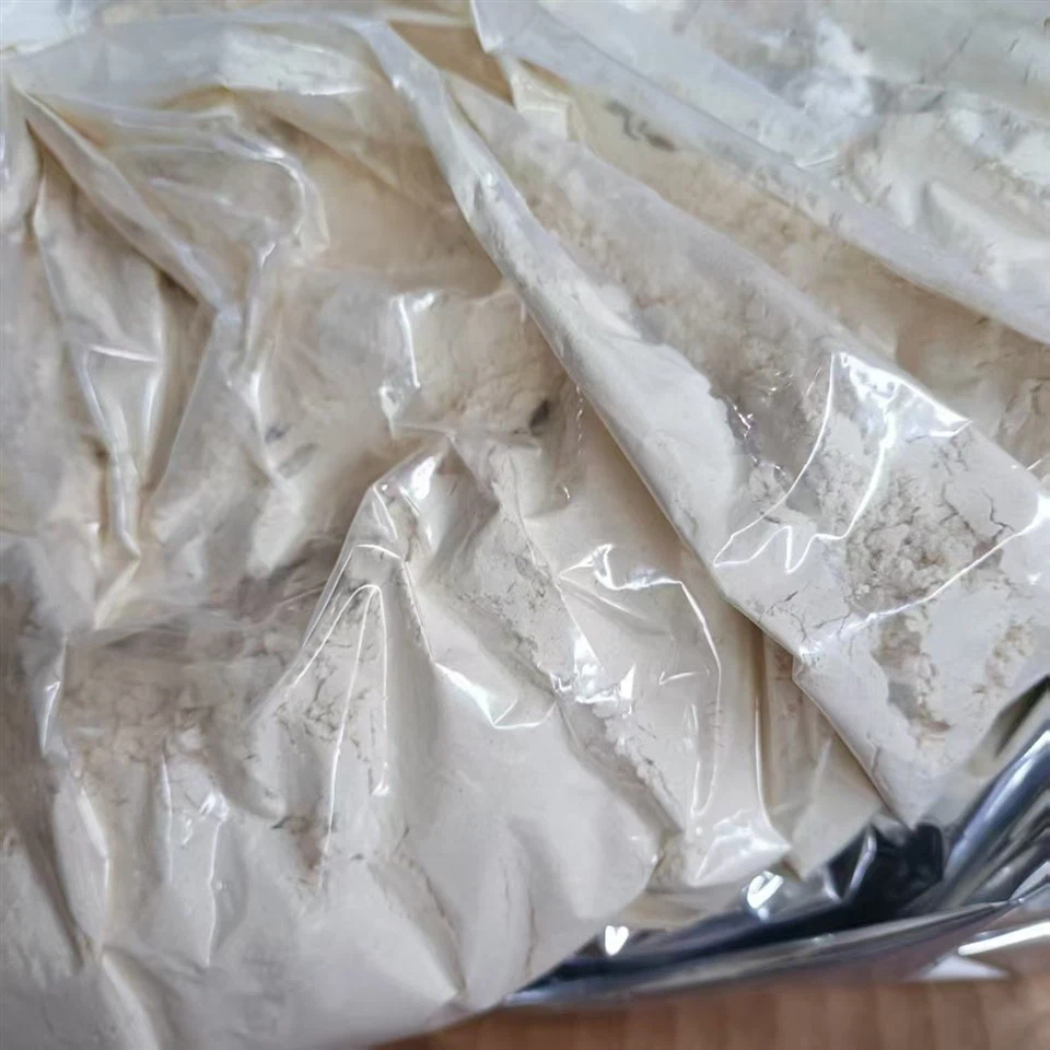 garlic powder supplier